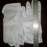 Polyester Spot Plastic Antistatic Gloves (True Conductive Silk))