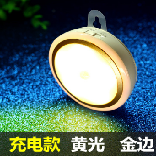 Human body sensing LED night light